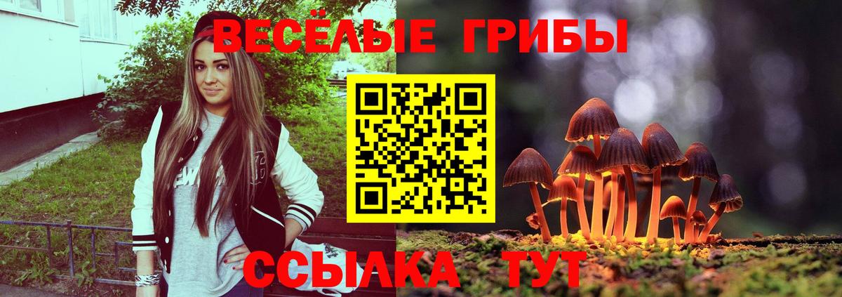 Мариинск  Галлюциногенные грибы Psilocybe  Вход с VPN  Галлюциногенные грибы Psilocybine cubensis 